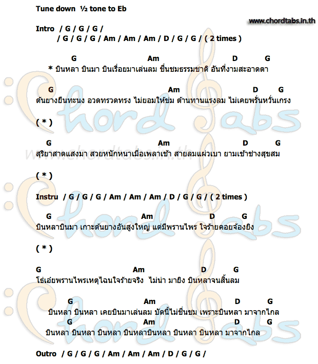 บินหลา19-1